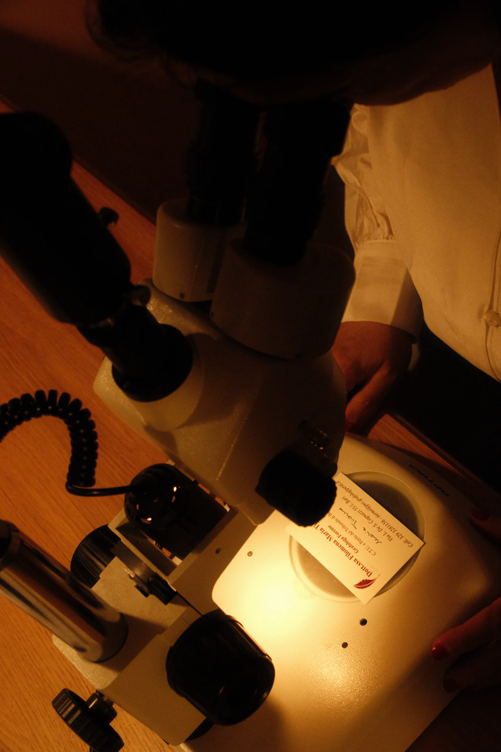 Microscopio stereoscopico 1 scaled
