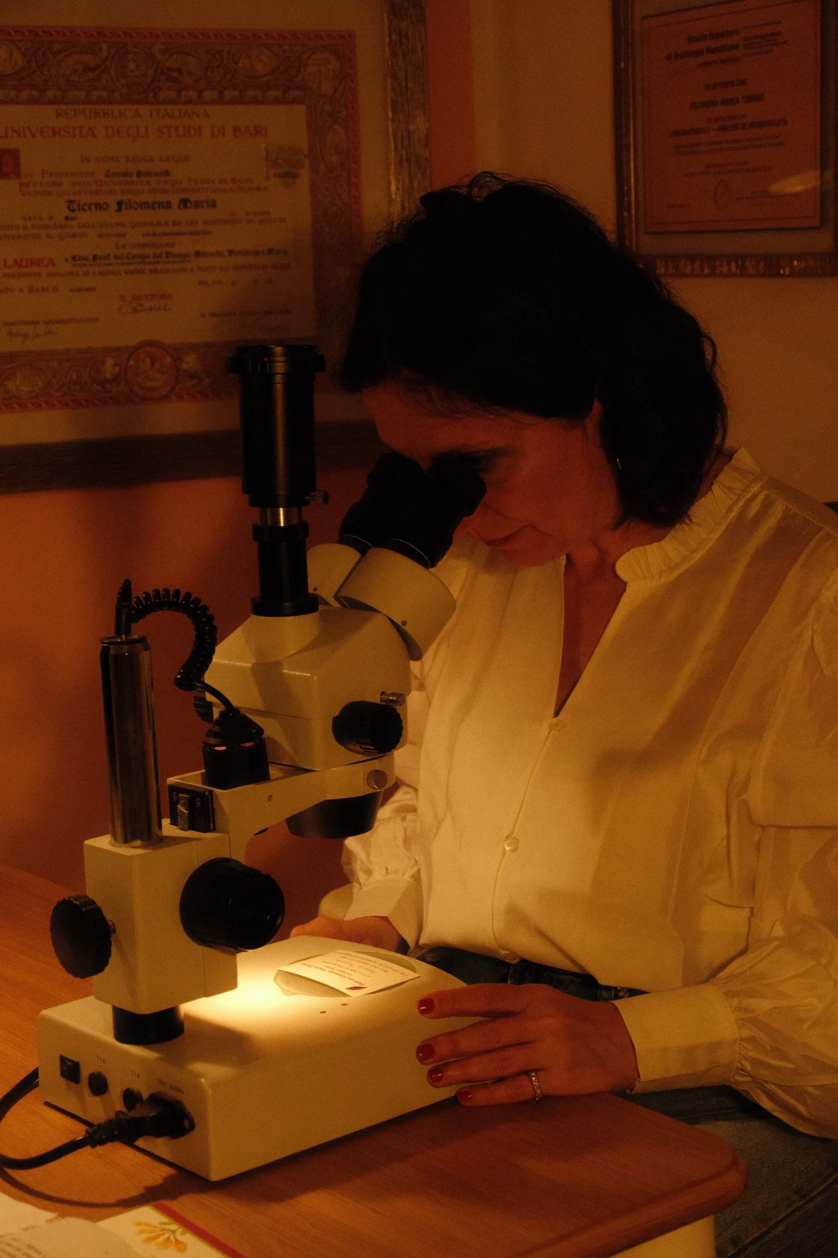Microscopio stereoscopico 2 scaled