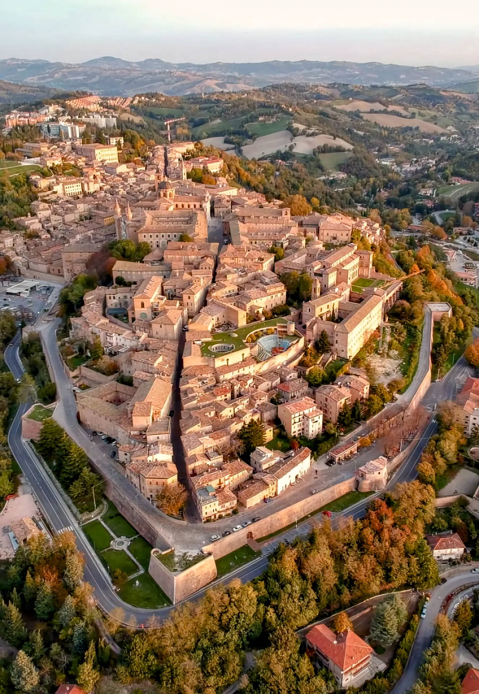 urbino